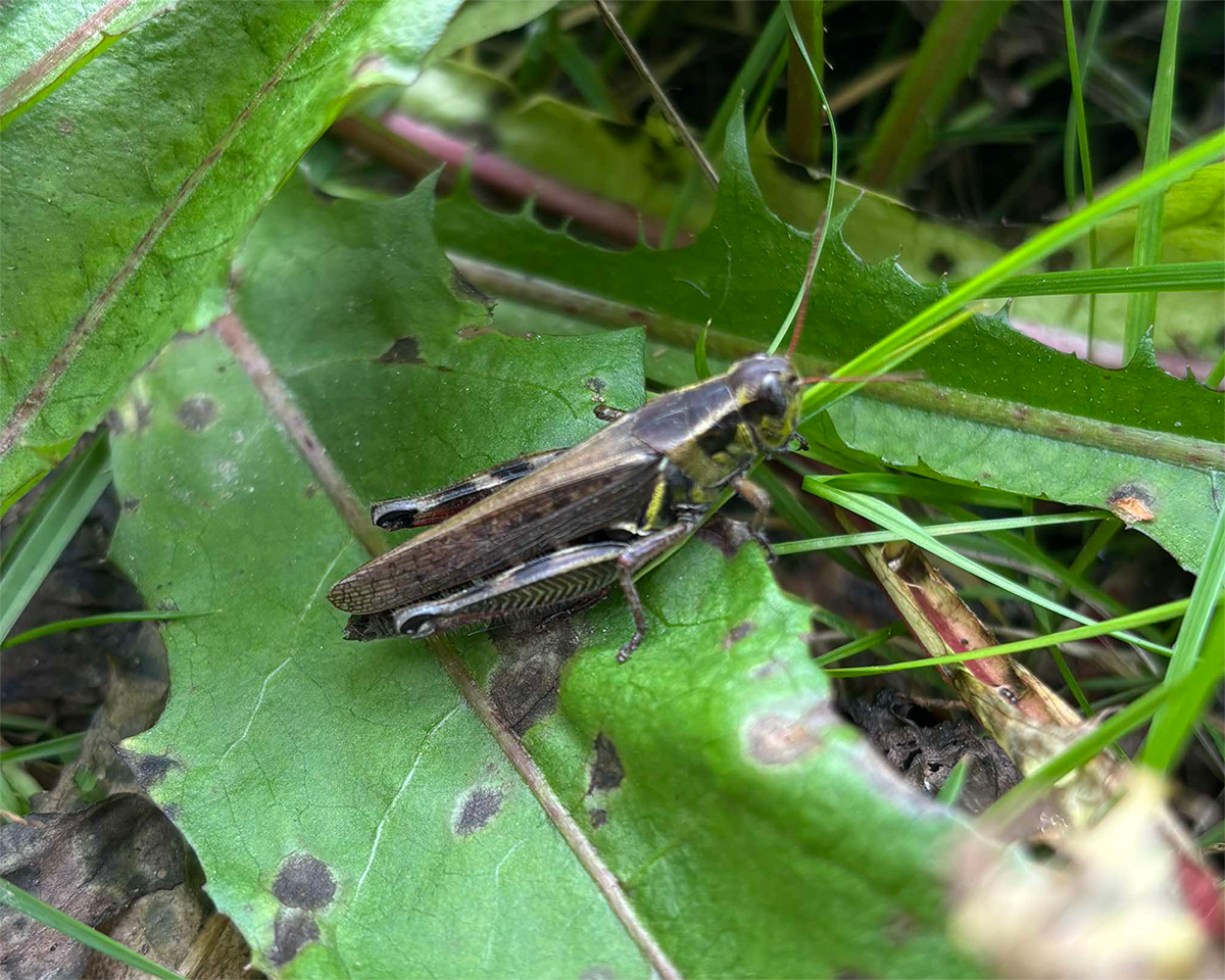 See caption and credit below image for description