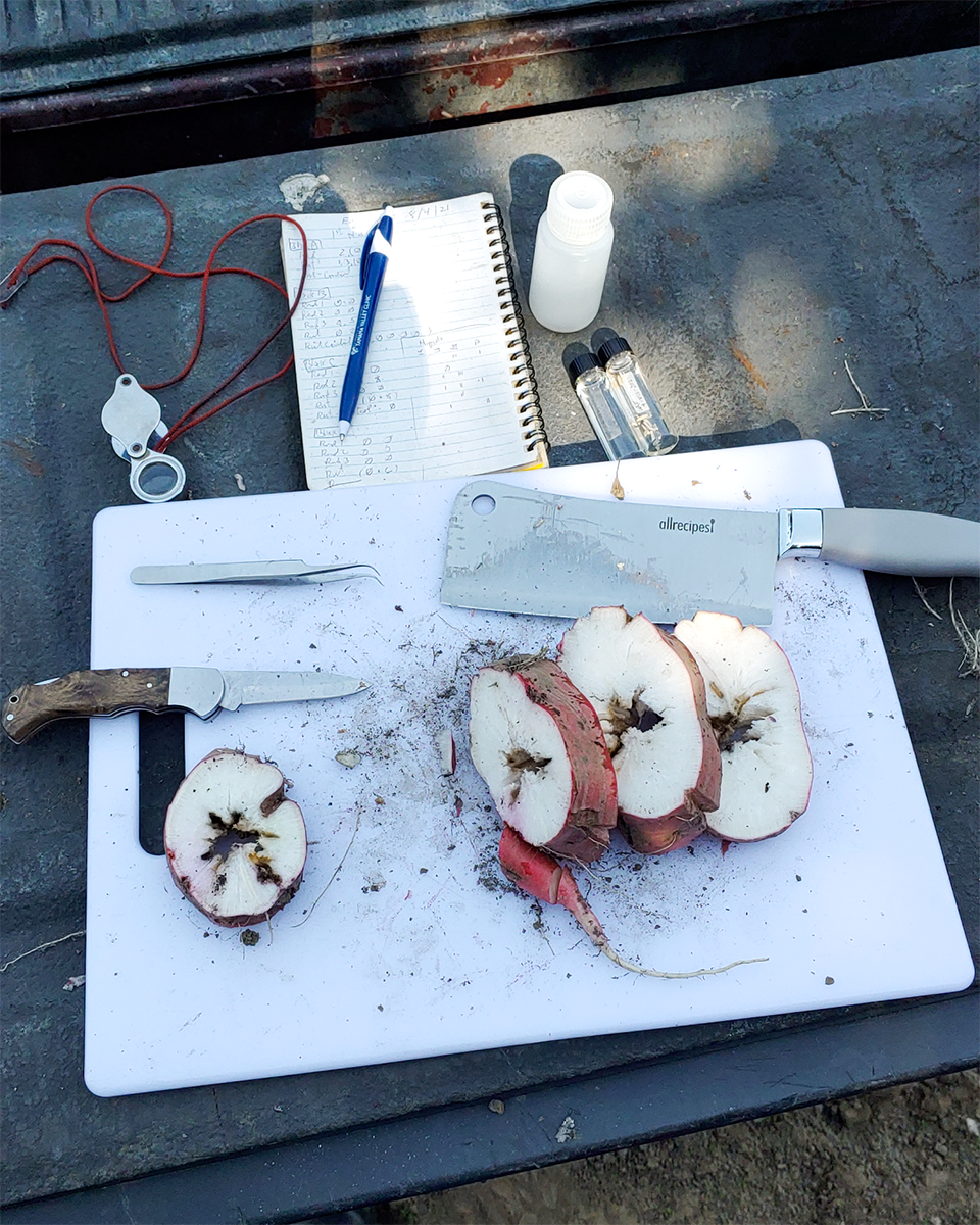 See caption and credit below image for description