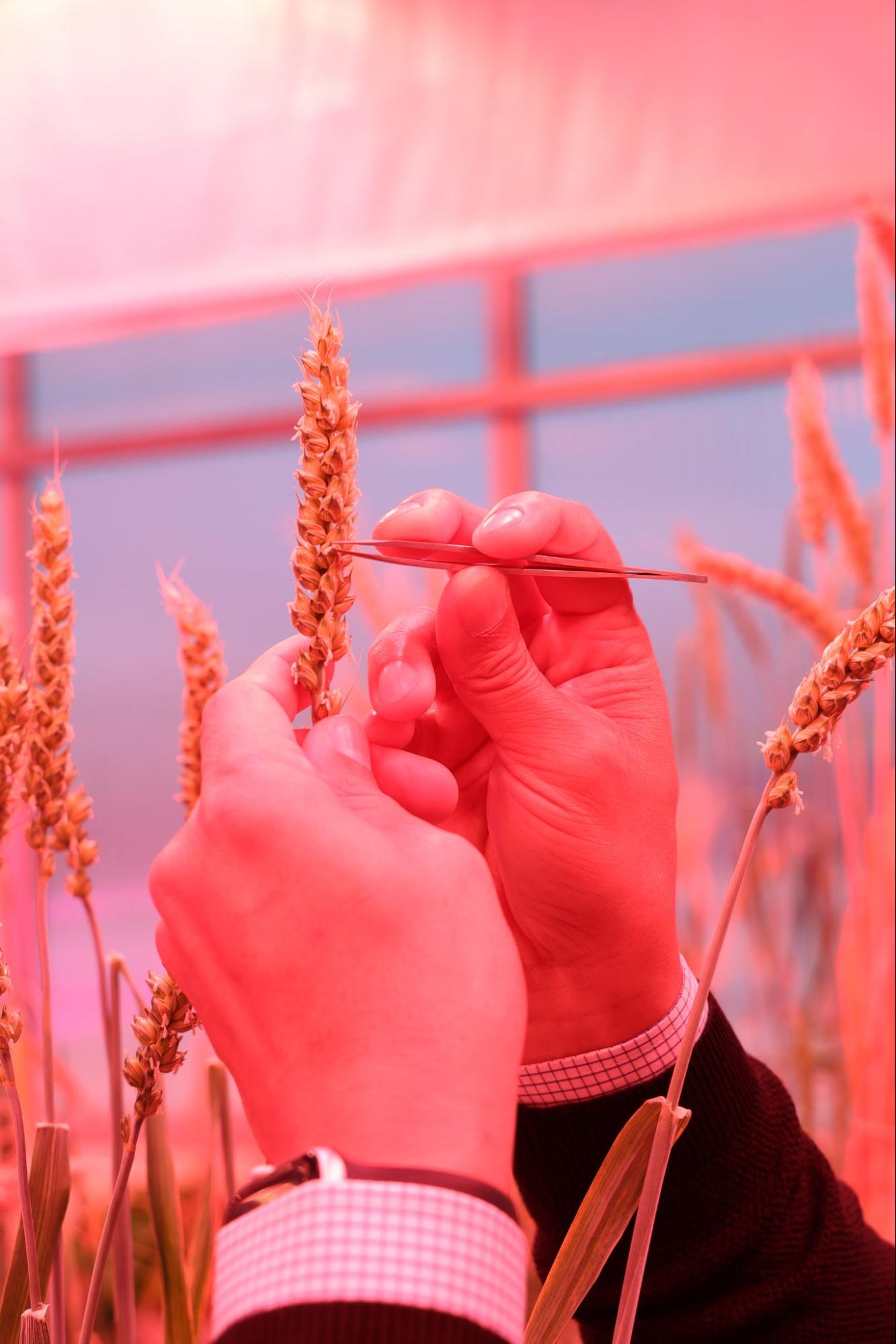 See caption and credit below image for description