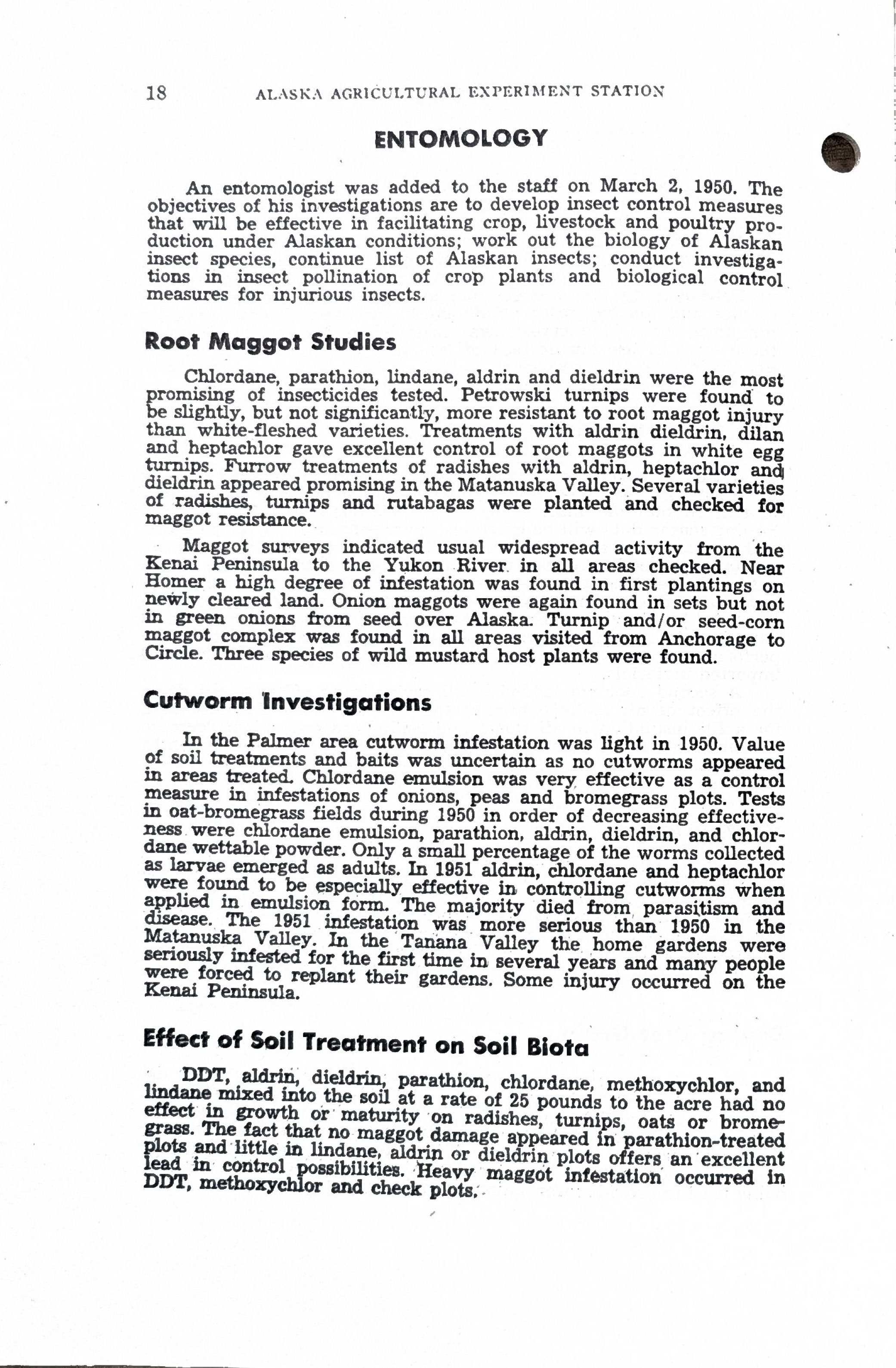 An entomologist was added to the staff on March 2, 1950. The objectives of his investigations are to develop insect control measures that will be effective in facilitating crop, livestock and poultry production under Alaskan conditions; work out the biology of Alaskan insect species, continue list of Alaskan insects; conduct investigations in insect pollination of crop plants and biological control measures for injurious insects.   Root Maggot Studies Chlordane, parathion, lindane, aldrin and dieldrin were the most promising of insecticides tested. Petrowski turnips were found to be slightly, but not significantly, more resistant to root maggot injury than white-fleshed varieties. Treatments with aldrin, dieldrin, dilan and heptachlor gave excellent control of root maggots in white egg turnips. Furrow treatments of radishes with aldrin, heptachlor and dieldrin appeared promising in the Matanuska Valley. Several varieties of radishes, turnips and rutabagas were planted and checked for maggot resistance.   Maggot surveys indicated usually widespread activity from the Kenai Peninsula to the Yukon River in all areas checked. Near Homer a high degree of infestation was found in first plantings on nearly cleared land. Onion maggots were again found in sets but not in green onions from seed over Alaska. Turnip and/or seed-corn maggot complex was found in all areas visited from Anchorage to Circle. Three species of wild mustard host plants were found.   Cutworm Investigations In the Palmer area, cutworm infestation was light in 1950. Value of soil treatments and baits was uncertain as no cutworms appeared in areas treated. Chlordane emulsion was very effective as a control measure in infestations of onions, peas and bromegrass plots. Tests in oat-bromegrass fields during 1950, in order of decreasing effectiveness, were chlordane emulsion, parathion,  aldrin,  dieldrin, and chlordane wettable powder. Only a small percentage of the worms collected were found to be especially effective in controlling cutworms when applied in emulsion form. The majority died from parasitism and disease. The 1951 infestation was more serious than 1950 in the Matanuska Valley. In the Tanana Valley, the home gardens were seriously infested for the first time in several years and many people were forced to replant their gardens. Some injury occurred on the Kenai Peninsula.   Effects of Soil Treatment on Soil Biota DDT, aldrin, dieldrin, parathion, chlordane, methoxychlor and lindane mixed into the soil at a rate of 25 pounds to the acre had no effect on growth or maturity on radishes, turnips, oats or bromegrass. The fact that no maggot damage appeared in parathion-treated plots and little in lindane, aldrin or dieldrin plots offers an excellent lead in control possibilities. Heavy maggot infestation occurred in DDT, methoxychlor and check plots. 