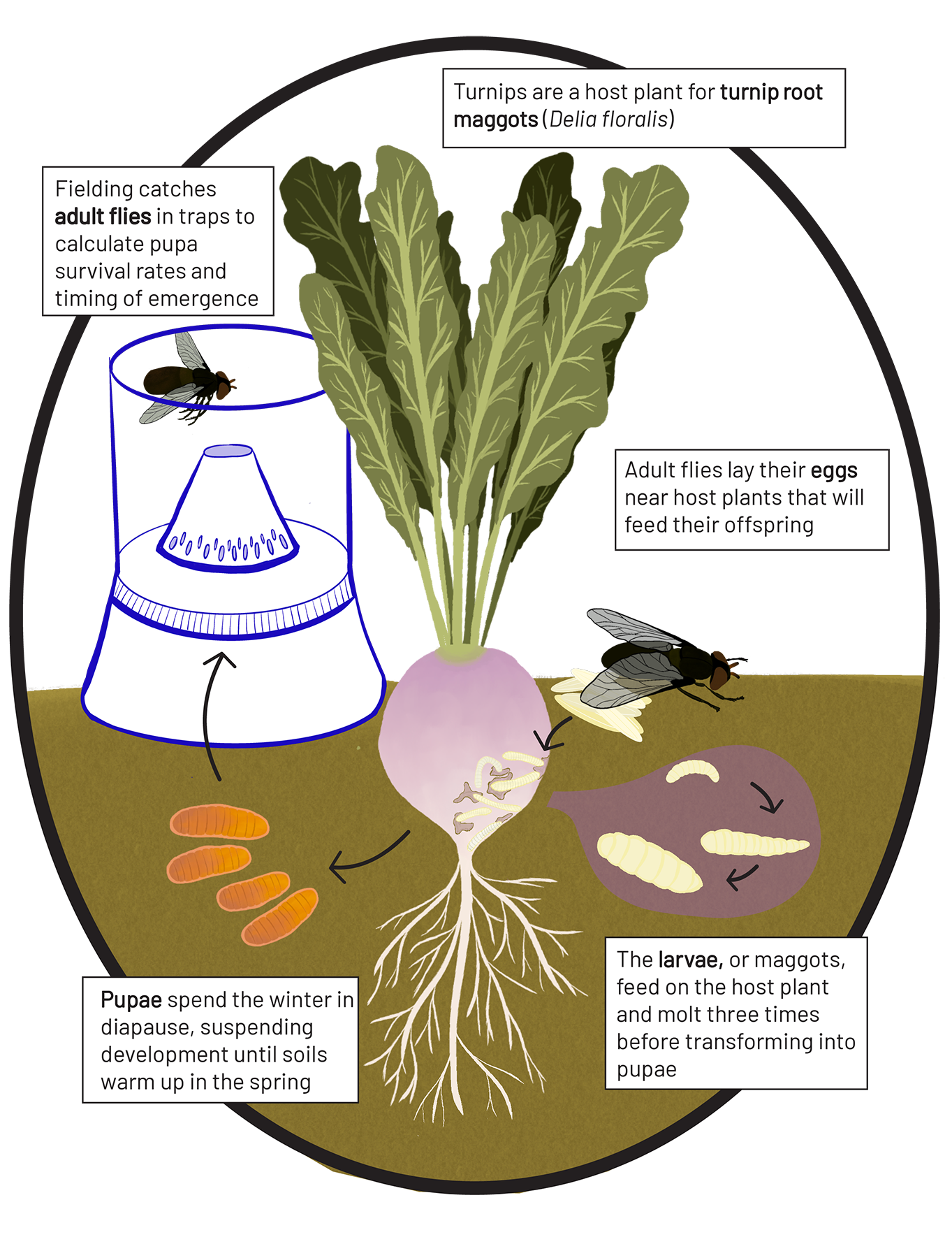 See caption and credit below image for description