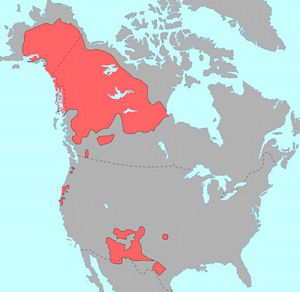 Athabaskan Languages map