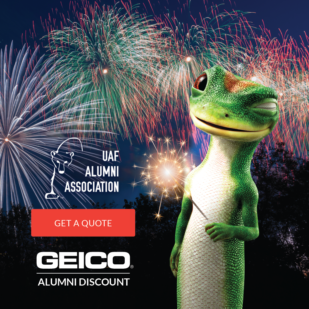 4th of July or New years fireworks