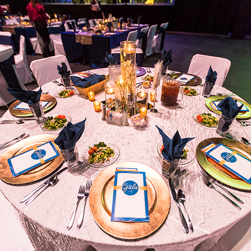 Blue and Gold Gala