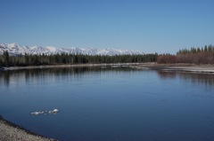 Tanana River at Tanacross