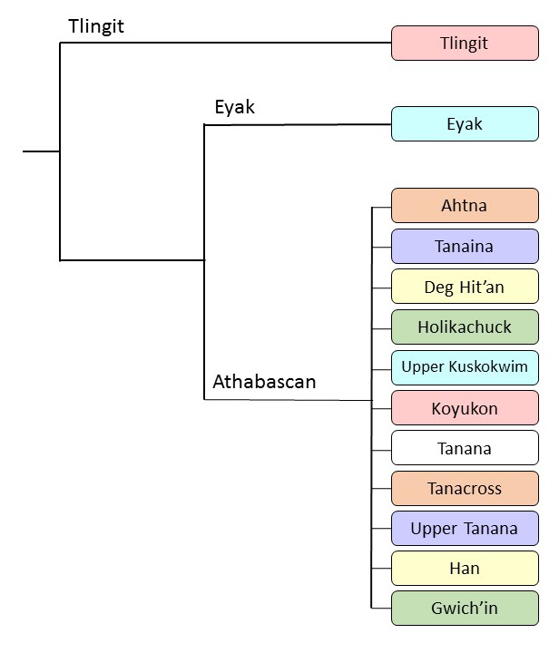 Athabascan-Eyak-Tlingit Language Family Tree