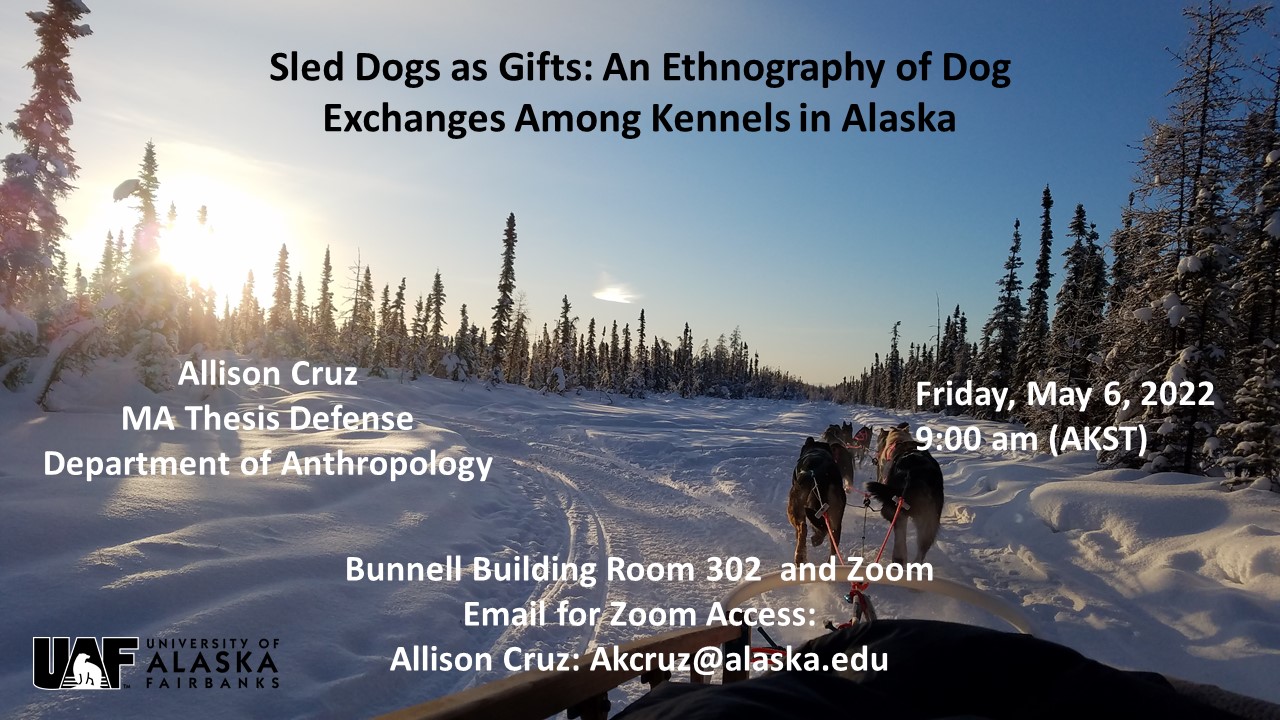 Event flyer - Sled Dogs as Gifts: An Ethnography of Dog Exchanges Among Kennels in Alaska. Presented by Allison Cruz, MA Thesis Defense, UAF Department of Anthropology. Friday, May 6, 2022, 9 a.m. AKST. Bunnell Building 302 and Zoom. Email akcruz@alaska.edu for zoom access.