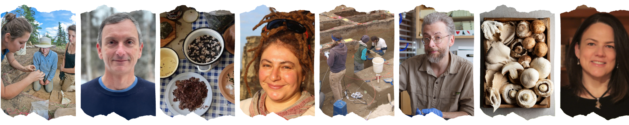 Collage banner representing the anthropology department