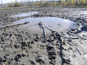 Tolsona mud volcano. Surrounded by moose tracks
