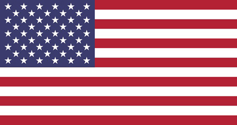 US flag logo