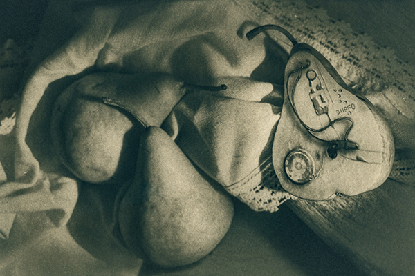 A green tea toned cyanotype still life image of pears on a lace-edged napkin. One pear is sliced open, exposing mechanical and electrical componenets