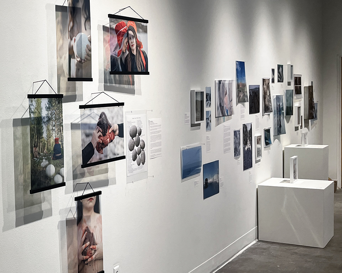 Dis/comfort, curated by Kate Ione Craney, hanging in the UAF Art Gallery. Photo courtesy of the UAF Art Department