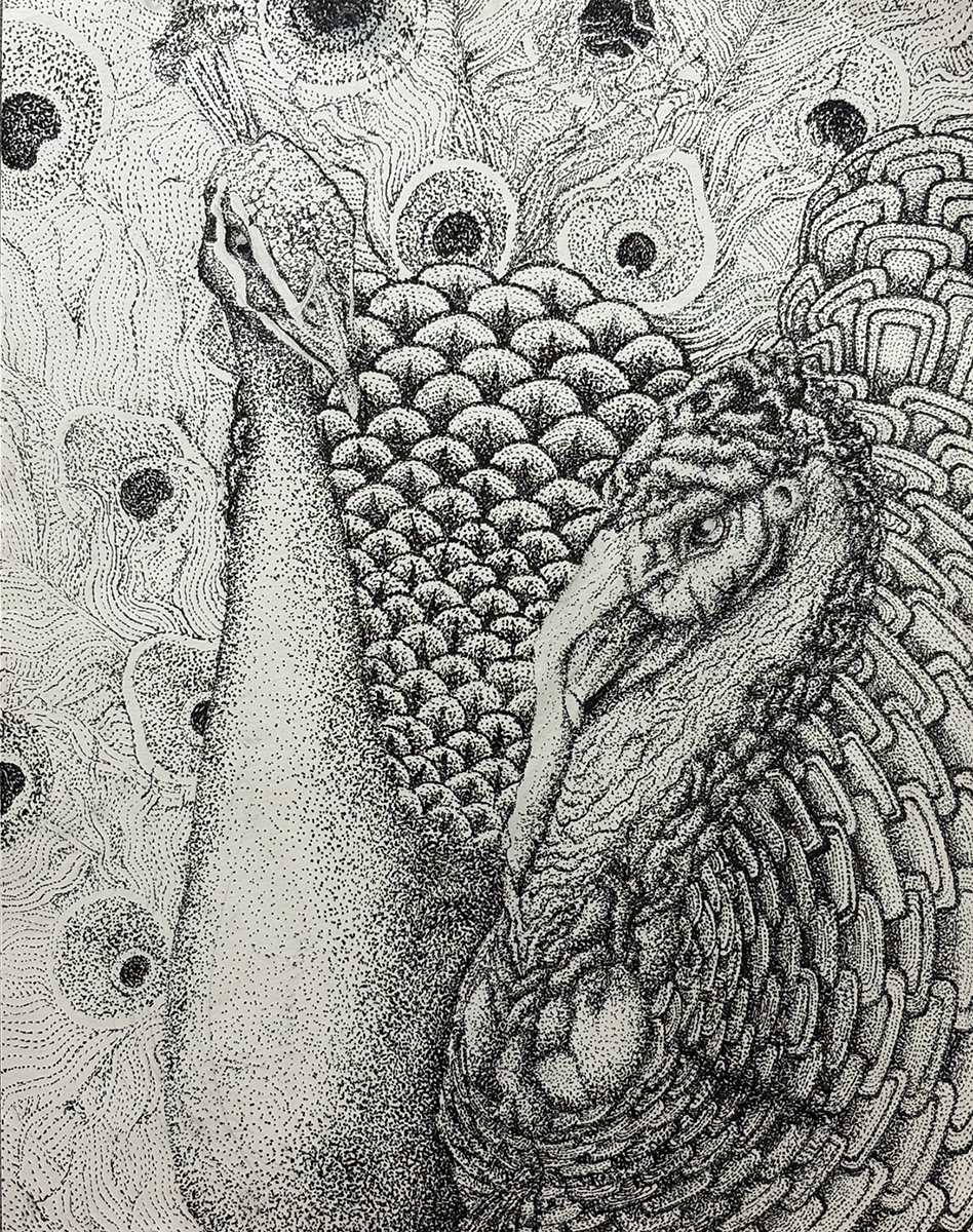 A black and white drawing of a peacock and a turkey