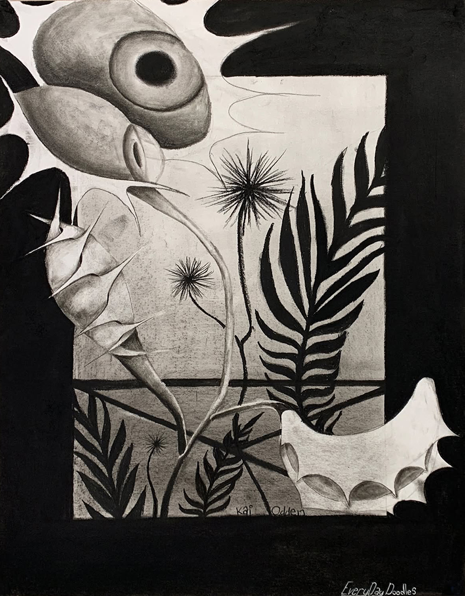 Pen and ink image of botanical specimens