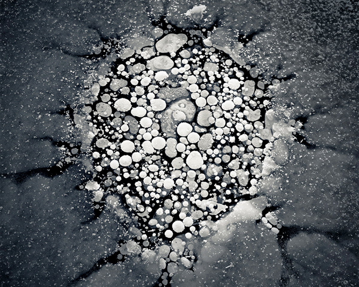Methane bubbles under a frozen lake photographed by Ryota Kajita, 2014