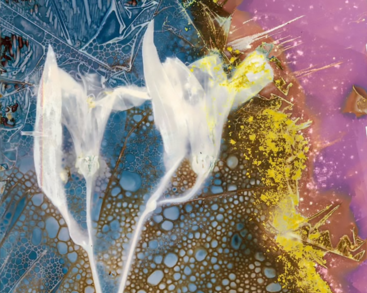 Mucking Around; a colorful cyanolumen print by David McCain