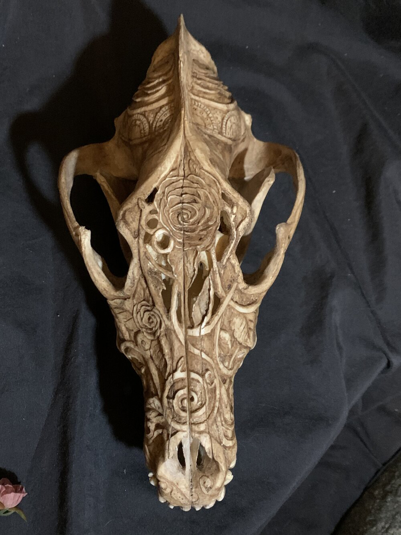 floral and vine design carved into a wolf skull