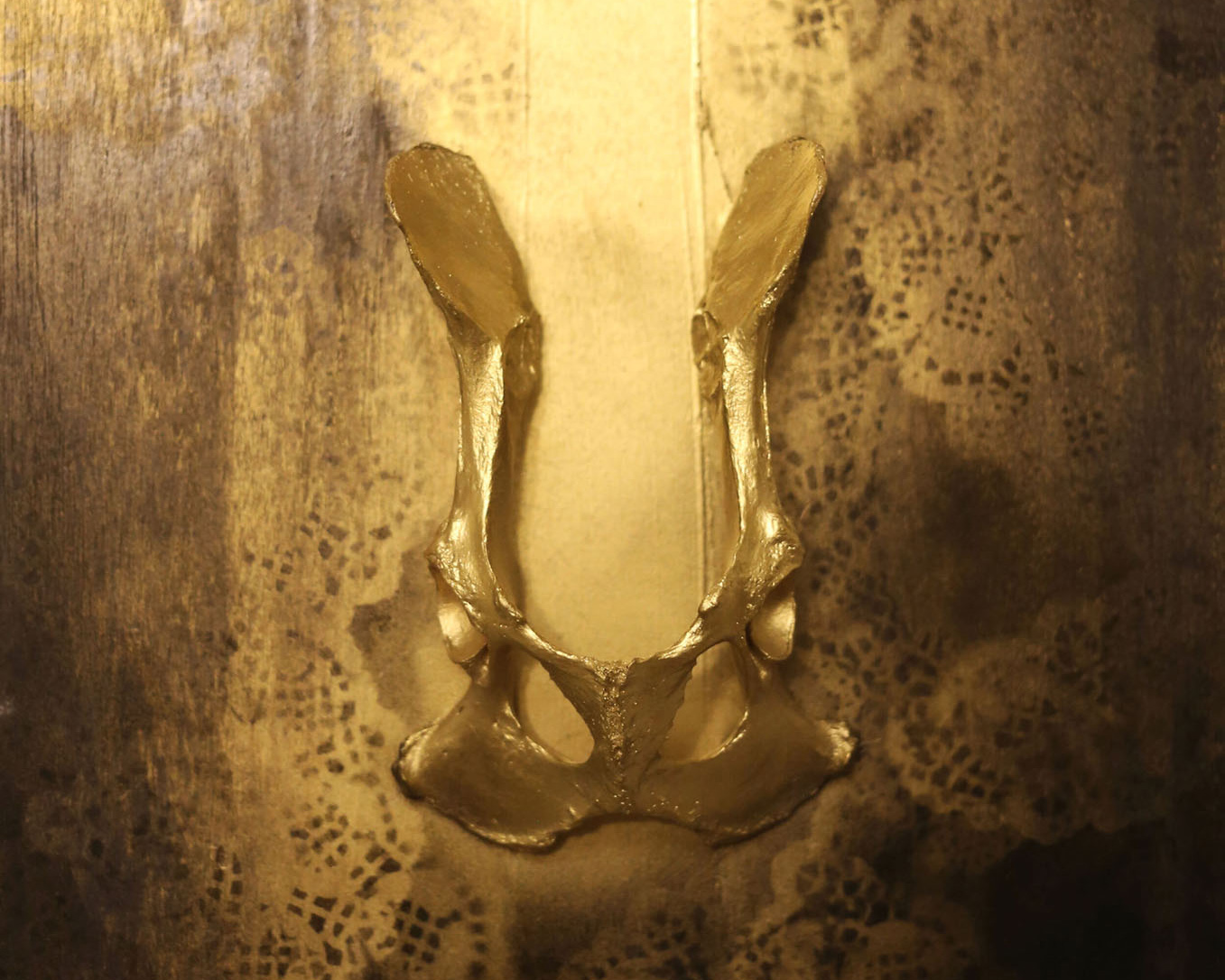 Gold bone on a gold textured background. "Domus" by Indi Walter