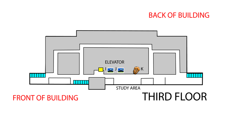 3rd floor