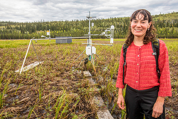 Eugénie Euskirchen pauses on a boardwalk in the fen at her research site in the Bonanza Creek Experimental Forest southwest of Fairbanks in August 2022. The tower in the background holds instruments for recording carbon dioxide, methane and other environmental conditions. UAF photos by Eric Engman.