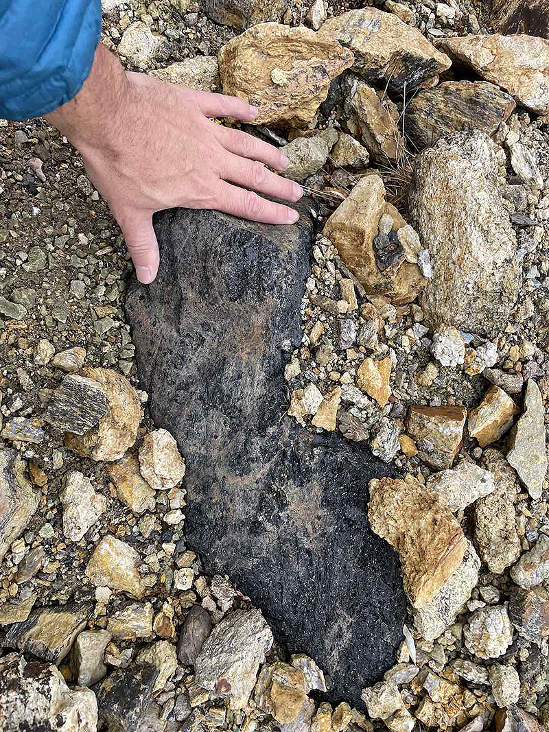 See caption and credit below image for description