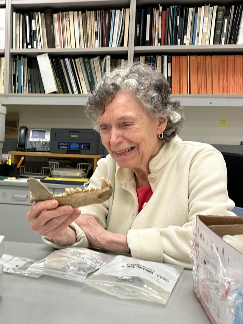 See caption and credit below image for description