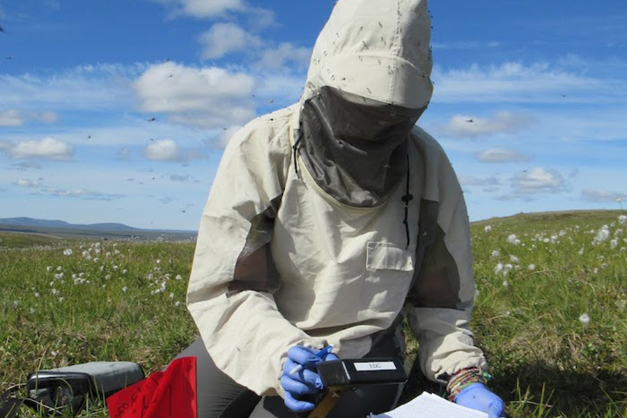 See caption and credit below image for description