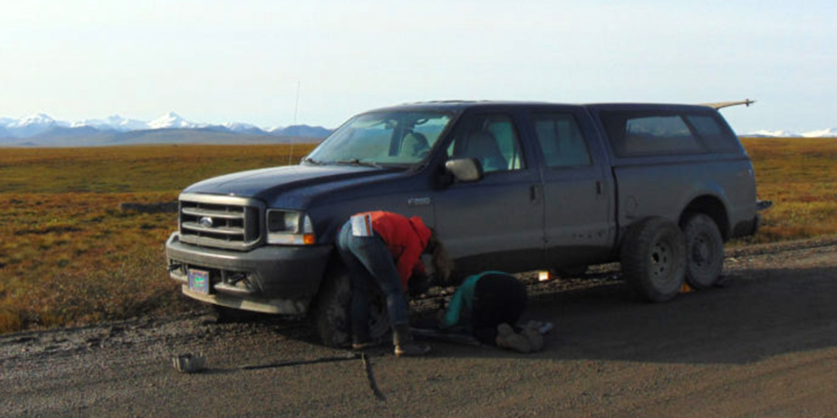 See caption and credit below image for description