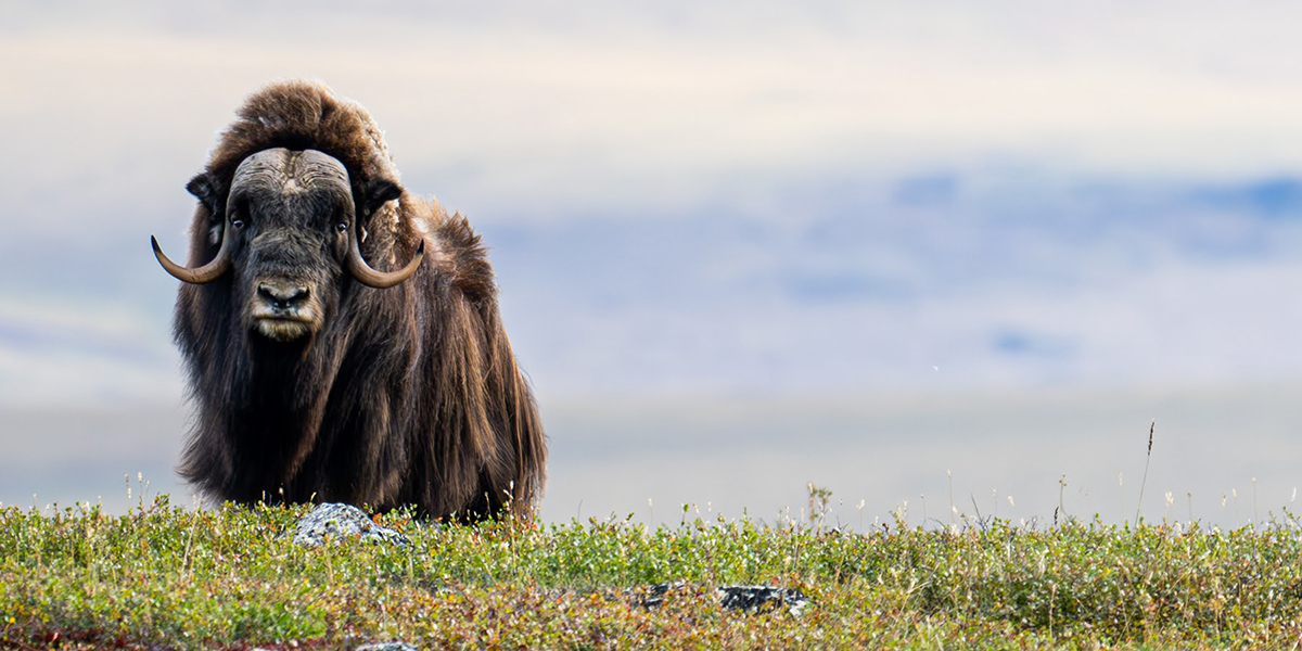 See caption and credit below image for description