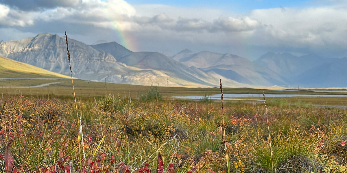 See caption and credit below image for description