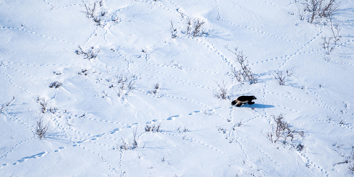 See caption and credit below image for description