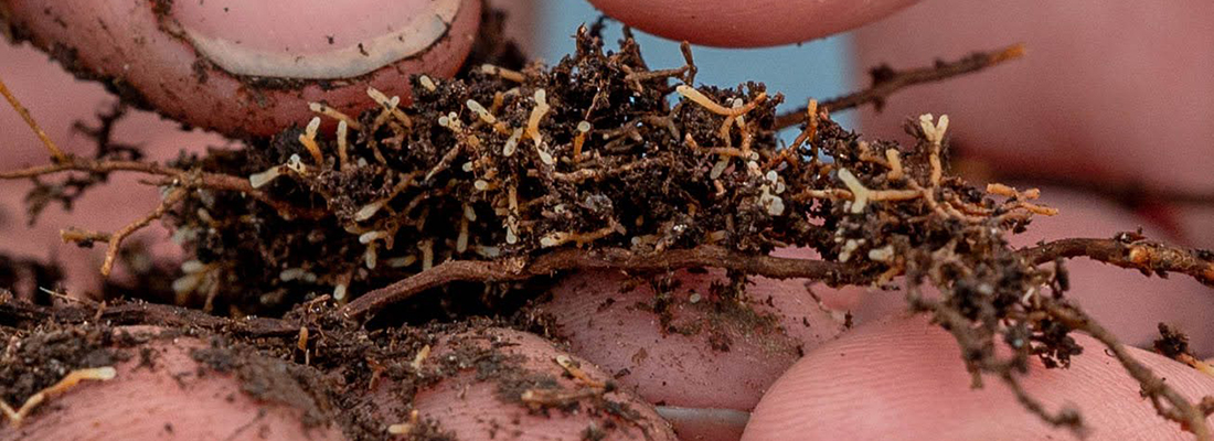 See caption and credit below image for description