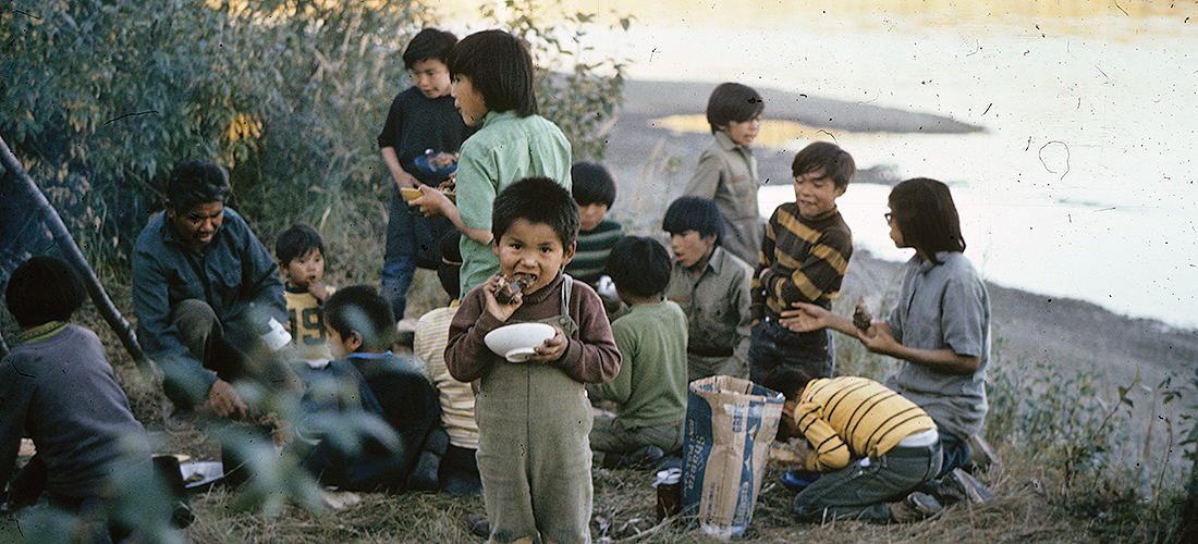 See caption and credit below image for description