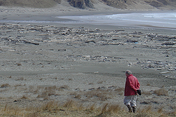 Photo by Catherine West, courtesy of the Alutiiq Museum. Don Clark, right, and Patrick Saltonstall look for archaeological sites on Chirikof Island in 2005.