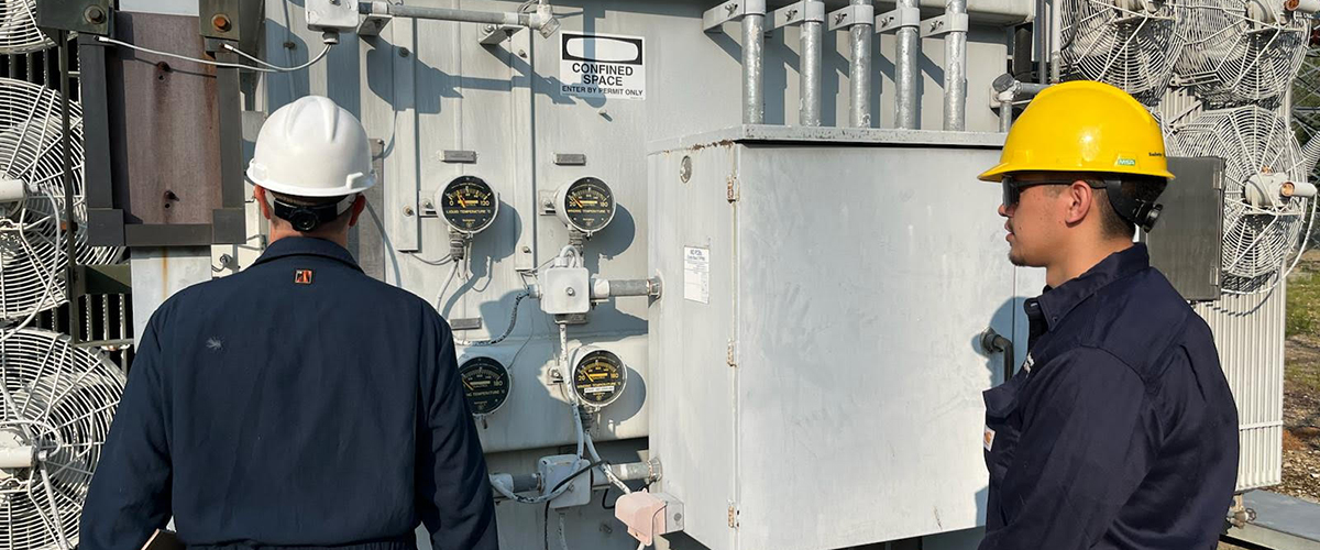 See caption and credit below image for description