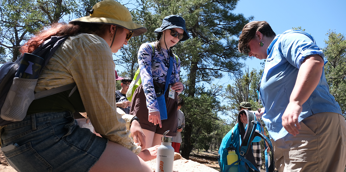 See caption and credit below image for description