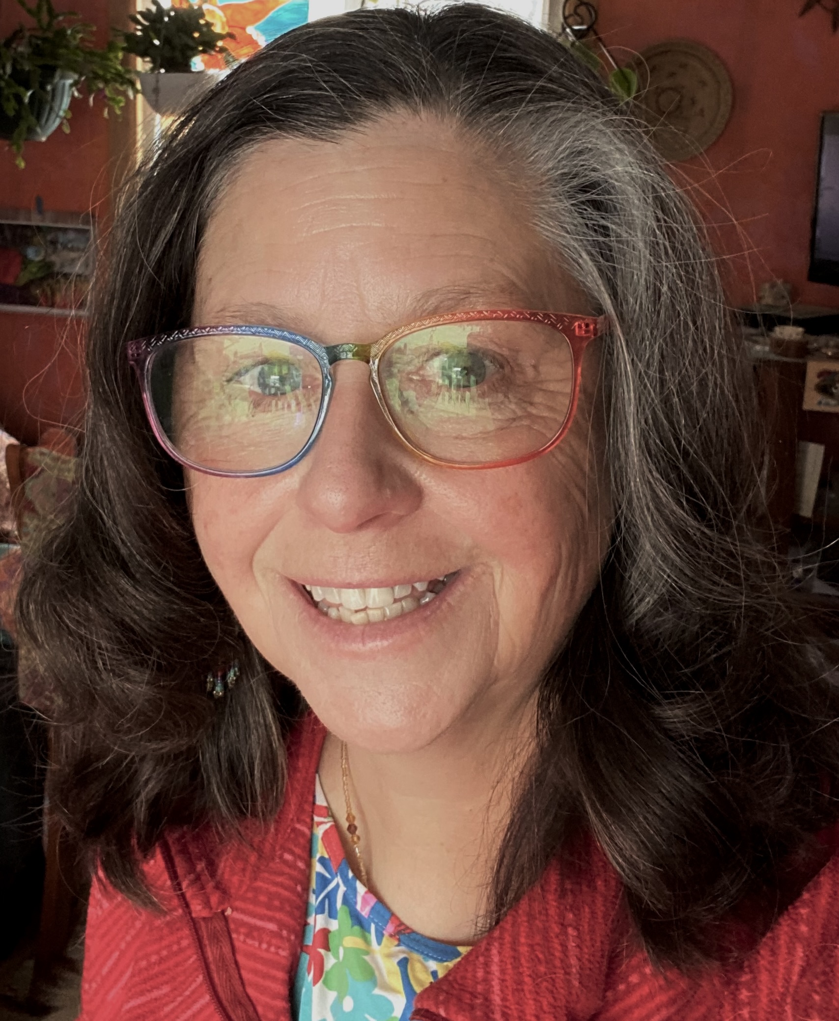 Diane McEachern, PhD, LCSW, MSW