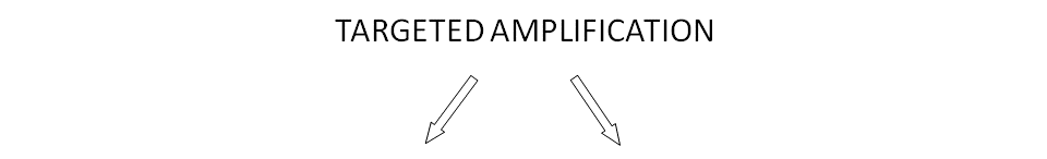 After Targeted Amplification breaks into two areas below