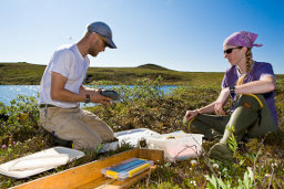 Collecting data at Toolik Field Station