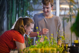 Students study plant genetics in the IAB Greenhouse