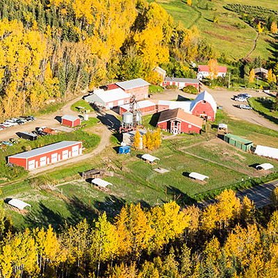 Fairbanks Experiment Farm