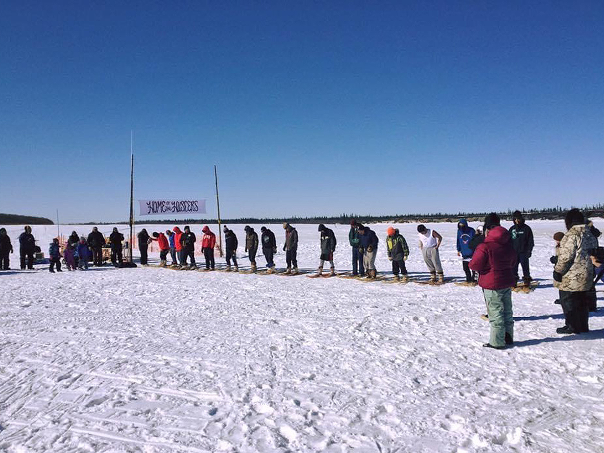 Community at a dog mushing event