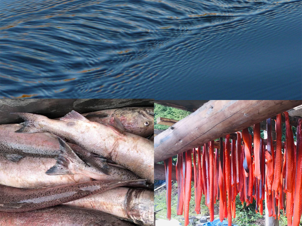 A collage of images: fish, fish on drying rack, and ripple in water