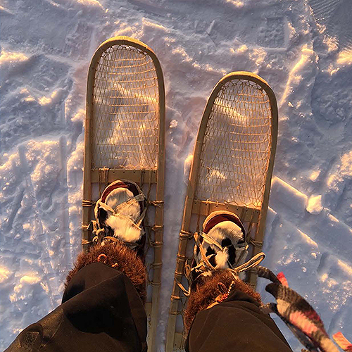 Snowshoes 