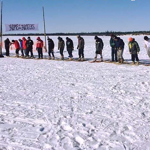 Community at a dog mushing event