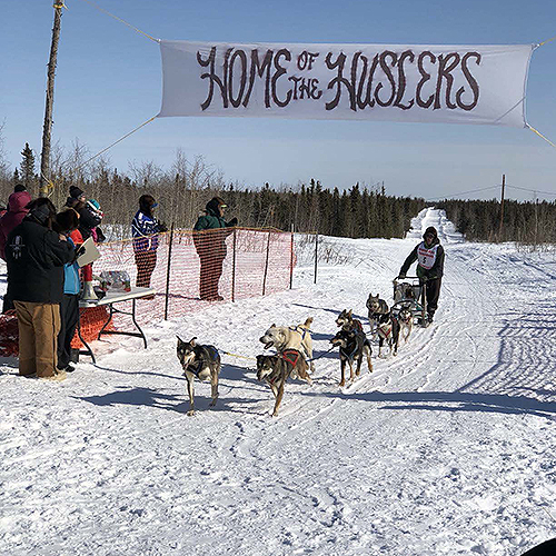 Dog musher coming across finish line
