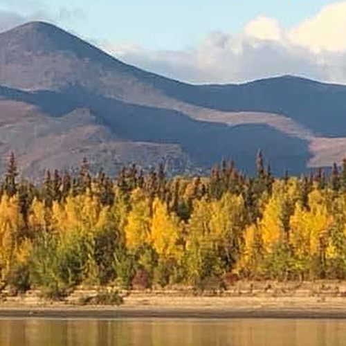 Fall mountain scenic