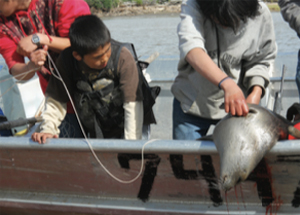 kids in fishing boat cleaning their catch