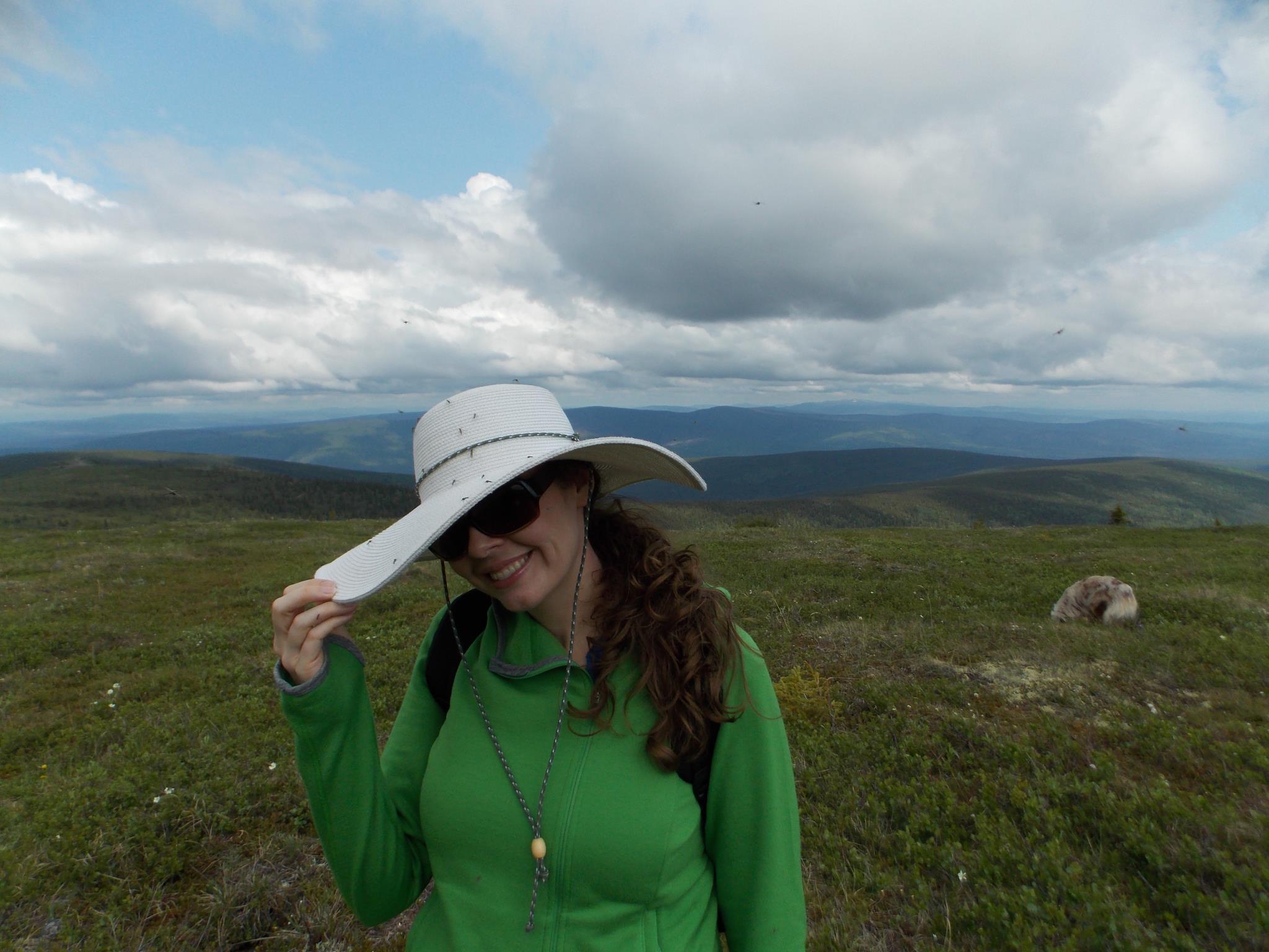 Shelbie is attacked by mosquitoes on Murphy Dome.