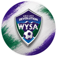 Wasilla Youth Soccer Association Logo  